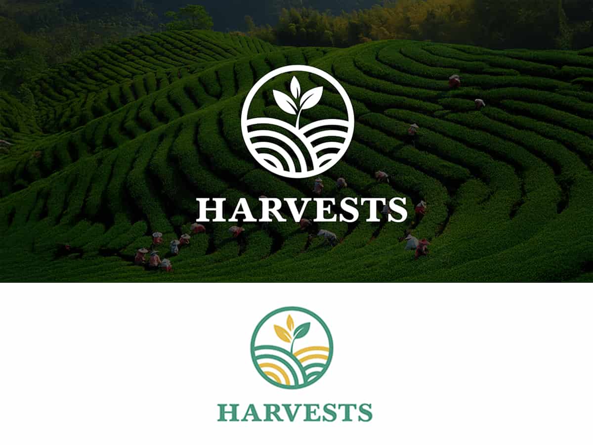 Ravo Design Logo Mockup 3